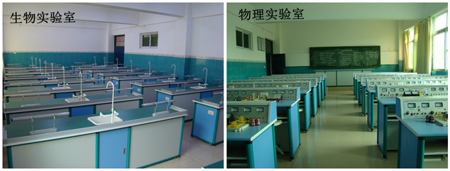 g07.jpg