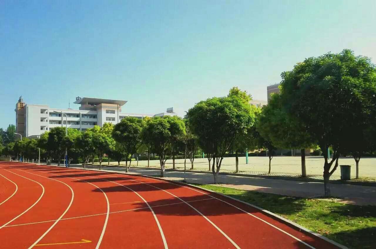 校园美景7